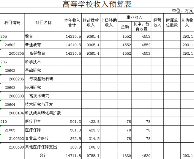 收入支出明细表模板_学校收入 支出预算表