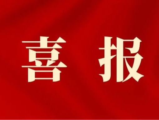 喜报丨天音学子在第三届全国大学生职业规划大赛天津市赛中获佳绩